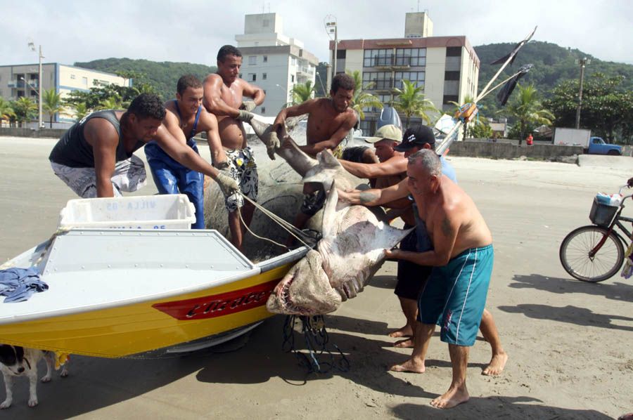 Não seja indiferente à ignorância e insensibilidade: proteste!