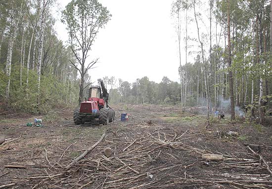 [Rússia] Ataque incendiário contra máquina de desmatamento na Floresta de Khimki